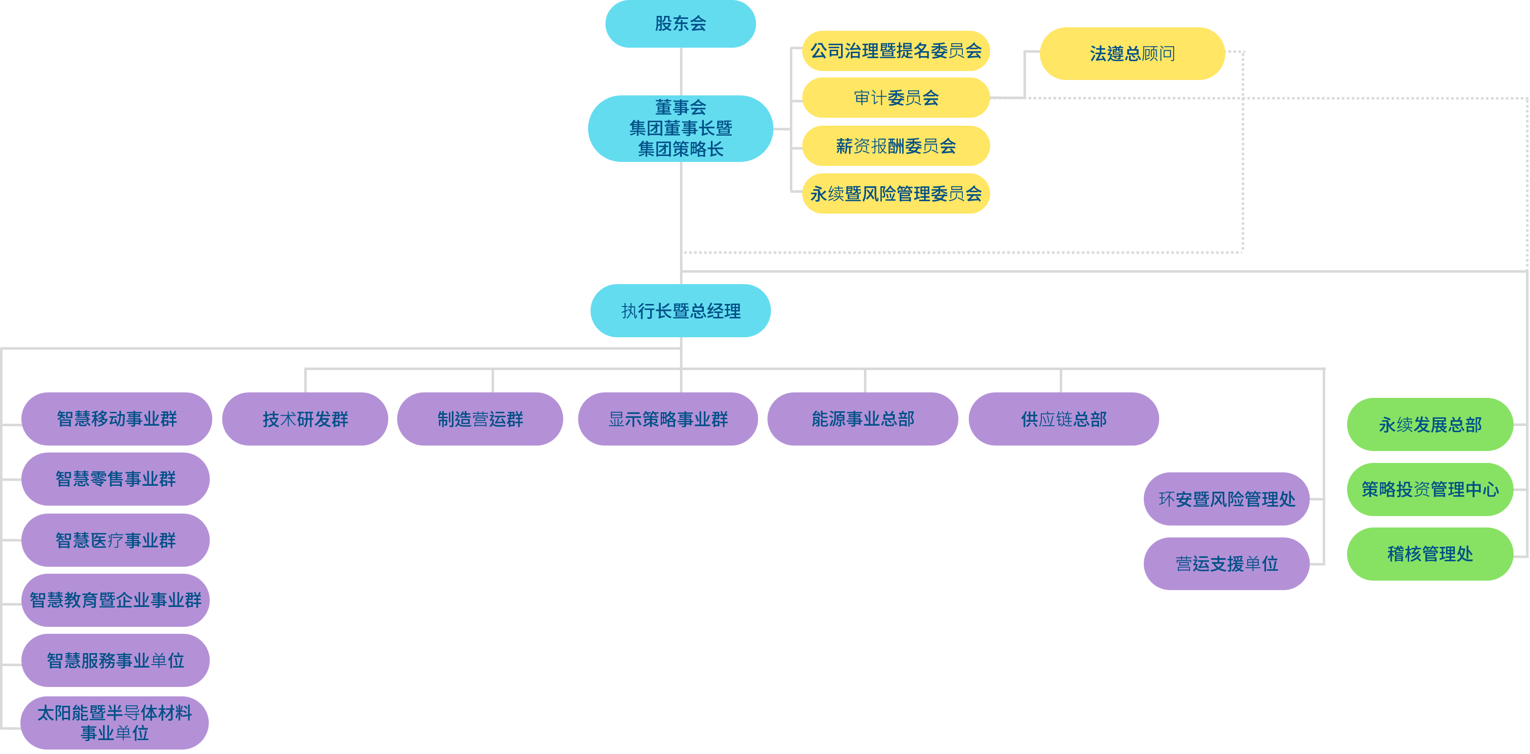 DG视讯光电组织架构